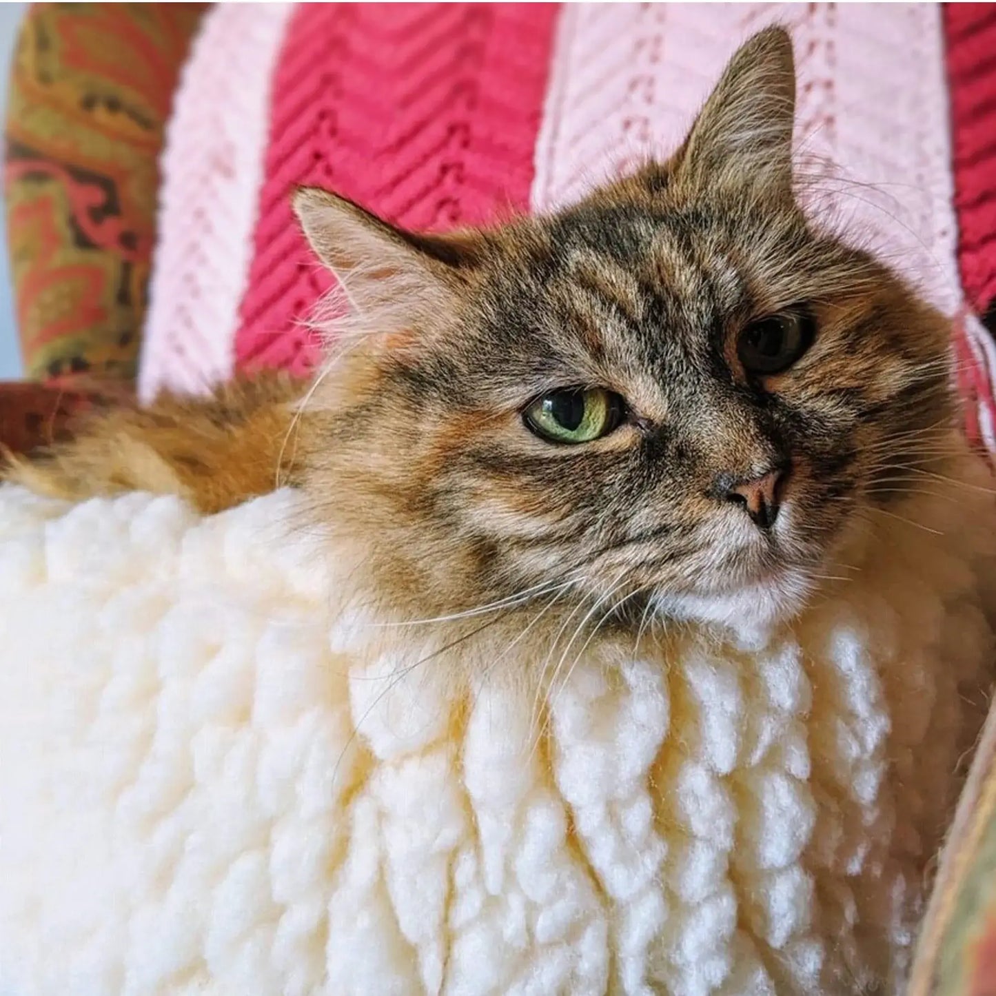 HuggleFleece® HuggleSnuggler™ Cat & Dog Beds - HuggleHounds - Flyclothing LLC