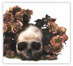 Black Market Art Company Skull Watercolor Print