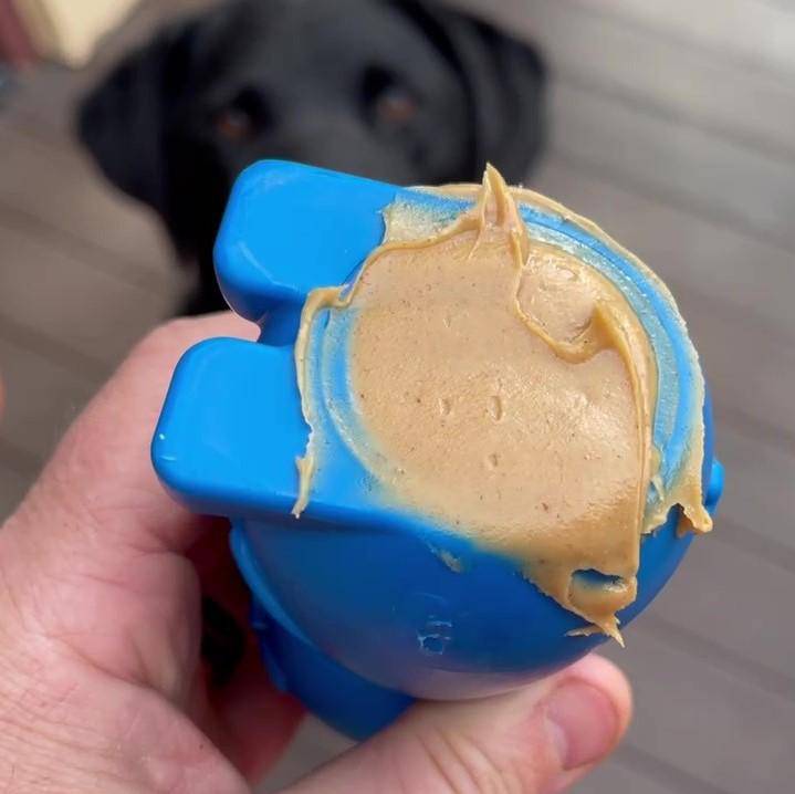 Bunny Nylon Chew Toy for Aggressive Chewers | Durable & USA Made - SodaPup/True Dogs, LLC - Flyclothing LLC