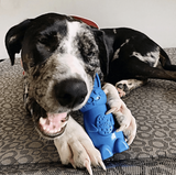 Bunny Nylon Chew Toy for Aggressive Chewers | Durable & USA Made - SodaPup/True Dogs, LLC - Flyclothing LLC