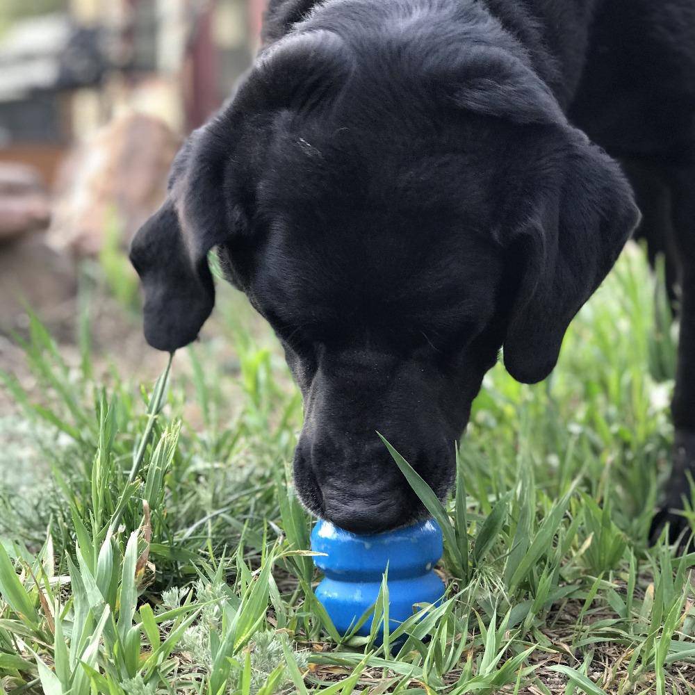 Double Trouble Dog Toy - Dual Chamber Treat Dispenser for Large Dogs | USA Made - SodaPup/True Dogs, LLC - Flyclothing LLC