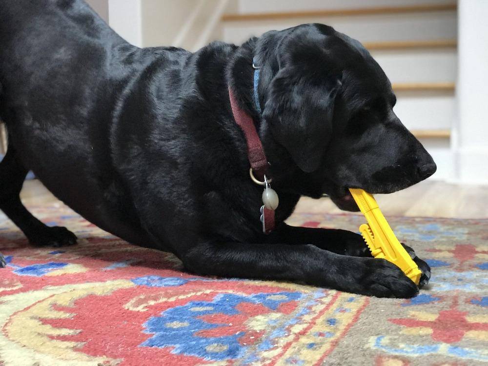 Pipe Wrench Nylon Dog Toy for Aggressive Chewers | USA Made | SodaPup - SodaPup/True Dogs, LLC - Flyclothing LLC