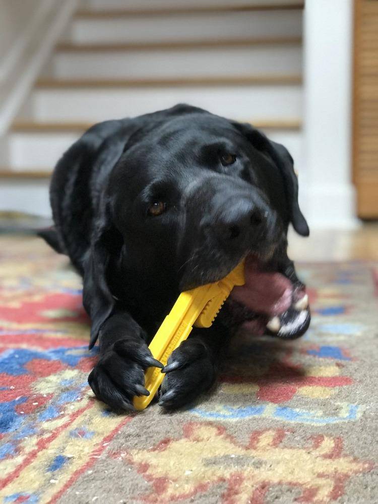 Pipe Wrench Nylon Dog Toy for Aggressive Chewers | USA Made | SodaPup - SodaPup/True Dogs, LLC - Flyclothing LLC