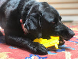 Tractor Nylon Dog Toy for Aggressive Chewers | USA Made | SodaPup - SodaPup/True Dogs, LLC - Flyclothing LLC