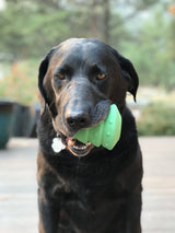 Christmas Tree Dog Toy - Durable Rubber Chew Toy for Large Dogs | USA Made - SodaPup/True Dogs, LLC - Flyclothing LLC