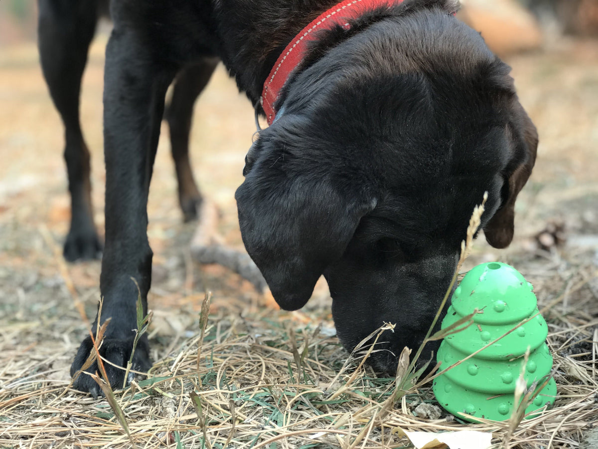 Christmas Tree Dog Toy - Durable Rubber Chew Toy for Large Dogs | USA Made - SodaPup/True Dogs, LLC - Flyclothing LLC