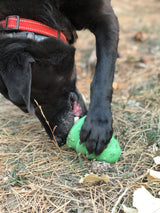 Christmas Tree Dog Toy - Durable Rubber Chew Toy for Large Dogs | USA Made - SodaPup/True Dogs, LLC - Flyclothing LLC