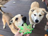 Colorado Maple Leaf Nylon Dog Chew Toy for Aggressive Chewers | USA Made - SodaPup/True Dogs, LLC - Flyclothing LLC