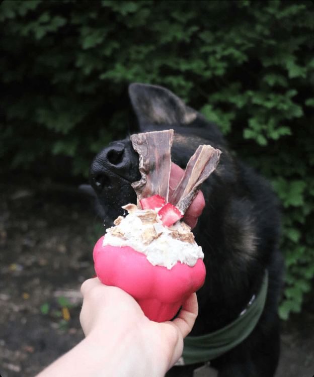 Cupcake eDispenser - Durable Rubber Chew Toy & Treat Dispenser | USA Made - SodaPup/True Dogs, LLC - Flyclothing LLC