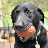 Football Dog Chew Toy & Treat Dispenser - USA Made | SodaPup - SodaPup/True Dogs, LLC - Flyclothing LLC