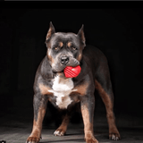 Heart on a String Dog Toy - Durable Rubber Tug Toy for Large Dogs | USA Made - SodaPup/True Dogs, LLC - Flyclothing LLC