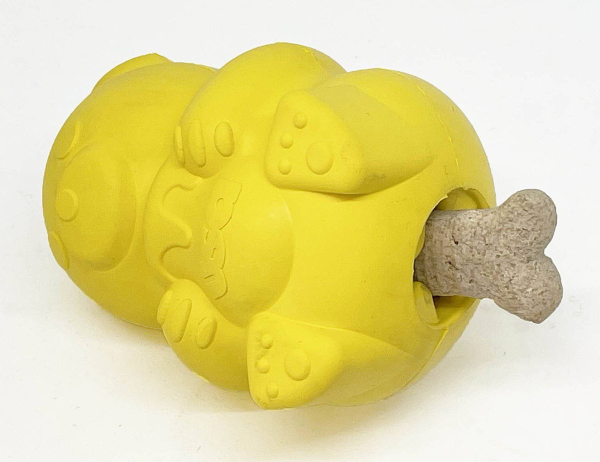Honey Bear eDispenser - Durable Rubber Treat Dispenser for Dogs | USA Made - SodaPup/True Dogs, LLC - Flyclothing LLC