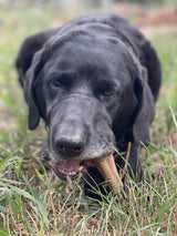 Honey Bone Dental Tower Nylon Chew Toy for Aggressive Chewers | USA Made - SodaPup/True Dogs, LLC - Flyclothing LLC