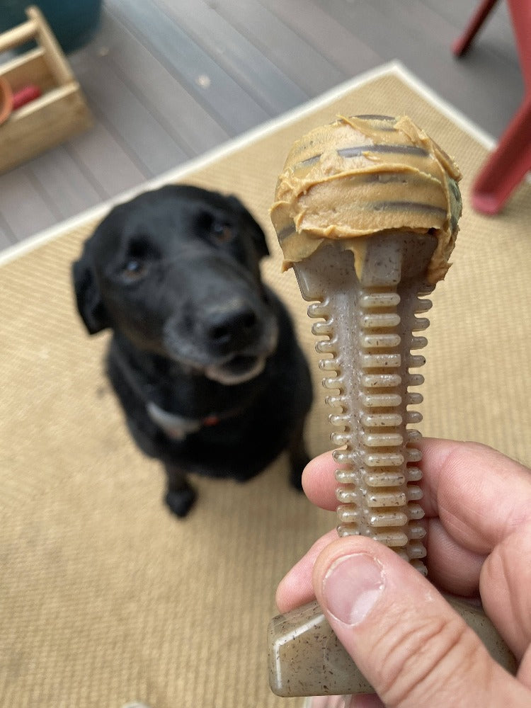 Honey Bone Dental Tower Nylon Chew Toy for Aggressive Chewers | USA Made - SodaPup/True Dogs, LLC - Flyclothing LLC
