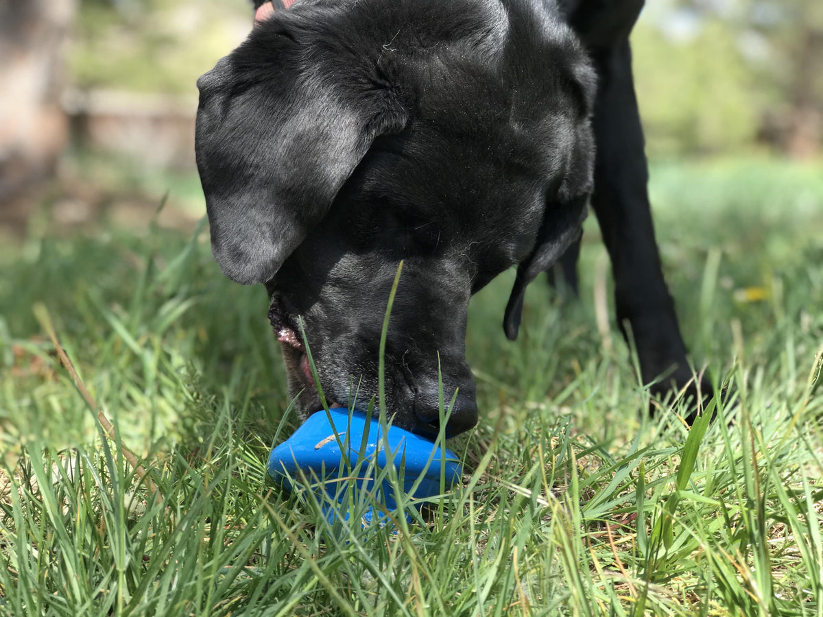 Flying Saucer Dog Toy - Durable UFO Chew Toy & Treat Dispenser | USA Made - SodaPup/True Dogs, LLC - Flyclothing LLC