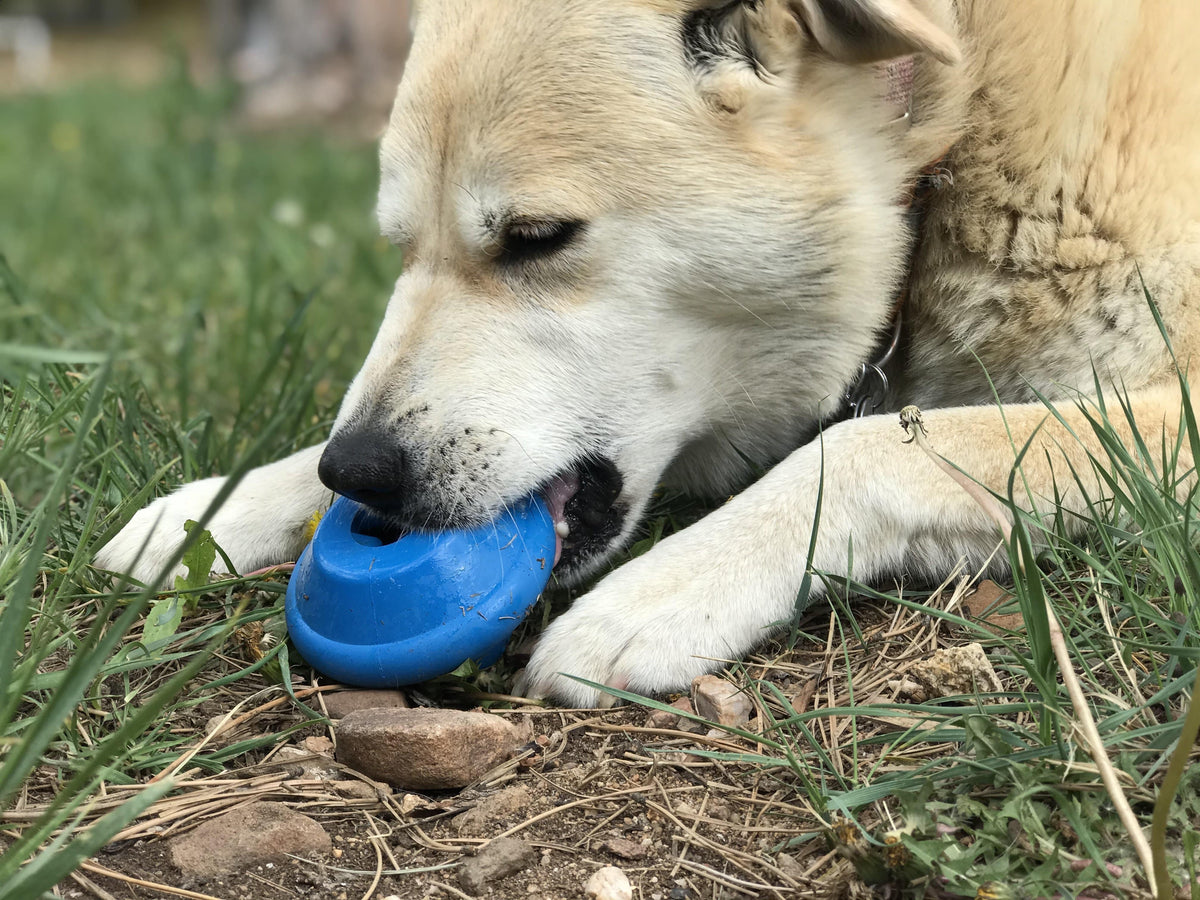 Flying Saucer Dog Toy - Durable UFO Chew Toy & Treat Dispenser | USA Made - SodaPup/True Dogs, LLC - Flyclothing LLC