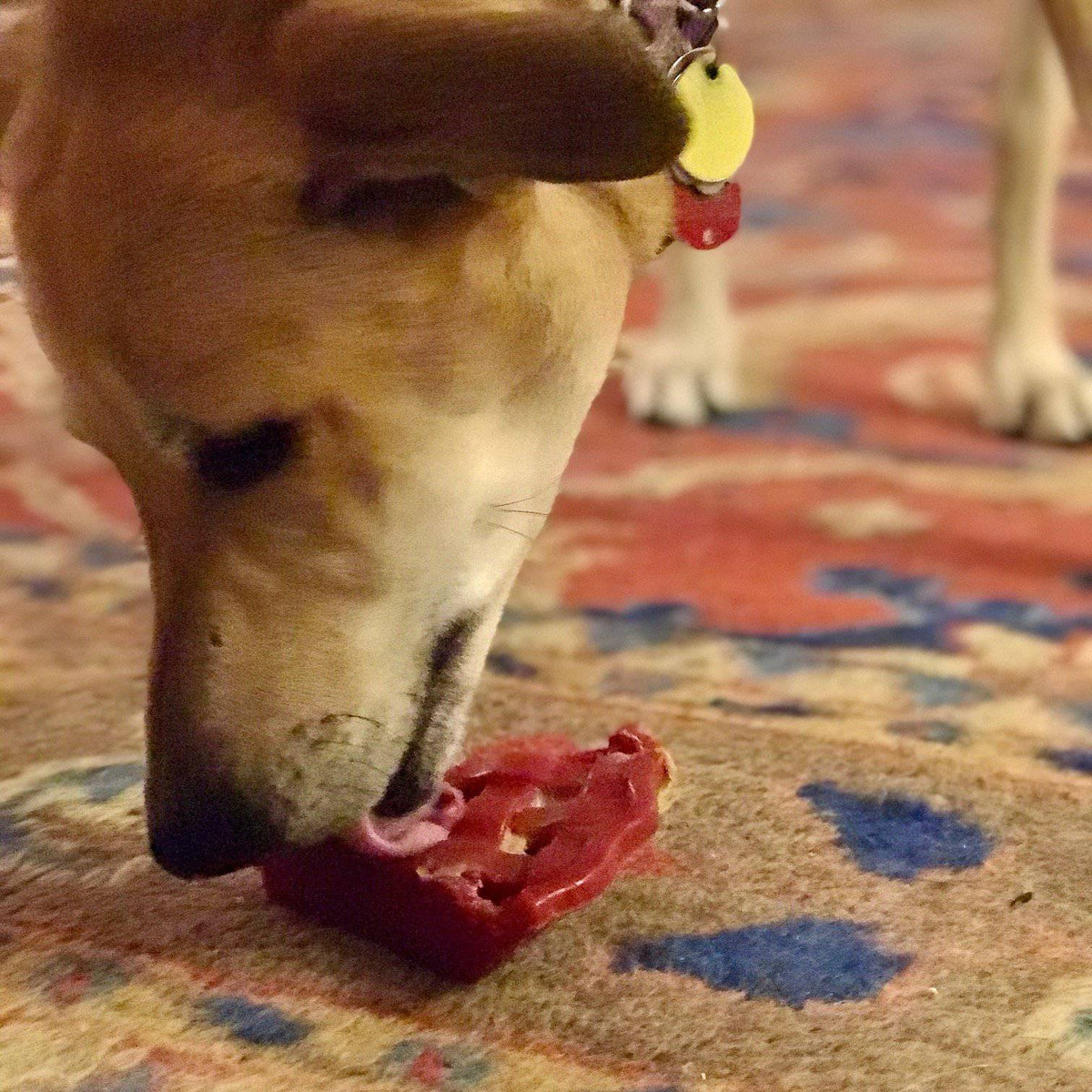 Cherry Pie Nylon Dog Chew Toy for Aggressive Chewers | USA Made | SodaPup - SodaPup/True Dogs, LLC - Flyclothing LLC