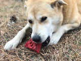 Cherry Pie Nylon Dog Chew Toy for Aggressive Chewers | USA Made | SodaPup - SodaPup/True Dogs, LLC - Flyclothing LLC