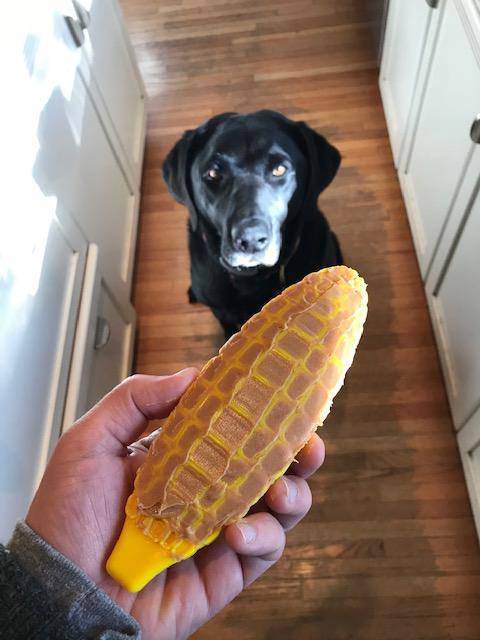 Corn on the Cob Nylon Dog Toy for Aggressive Chewers | USA Made | SodaPup - SodaPup/True Dogs, LLC - Flyclothing LLC