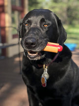 Hot Dog Nylon Dog Toy for Aggressive Chewers | USA Made | SodaPup - SodaPup/True Dogs, LLC - Flyclothing LLC