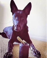Magnum Can Toy Rubber Dog Chew Toy for Extreme Chewers | Treat Dispenser | USA Made - SodaPup/True Dogs, LLC - Flyclothing LLC