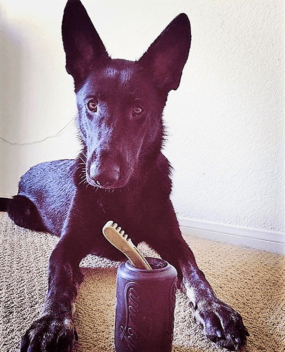 Magnum Can Toy Rubber Dog Chew Toy for Extreme Chewers | Treat Dispenser | USA Made - SodaPup/True Dogs, LLC - Flyclothing LLC