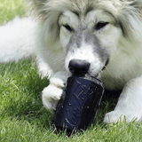 Magnum Can Toy Rubber Dog Chew Toy for Extreme Chewers | Treat Dispenser | USA Made - SodaPup/True Dogs, LLC - Flyclothing LLC