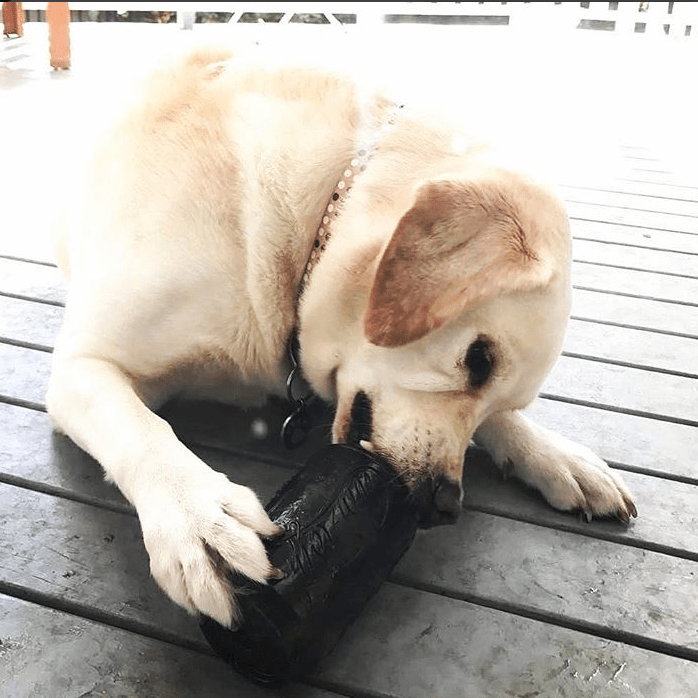 Magnum Can Toy Rubber Dog Chew Toy for Extreme Chewers | Treat Dispenser | USA Made - SodaPup/True Dogs, LLC - Flyclothing LLC