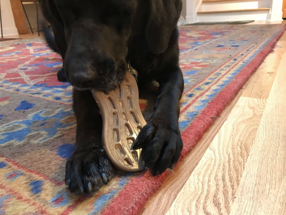 Peanut Nylon Dog Chew Toy | Ultra-Durable for Aggressive Chewers | SodaPup - SodaPup/True Dogs, LLC - Flyclothing LLC
