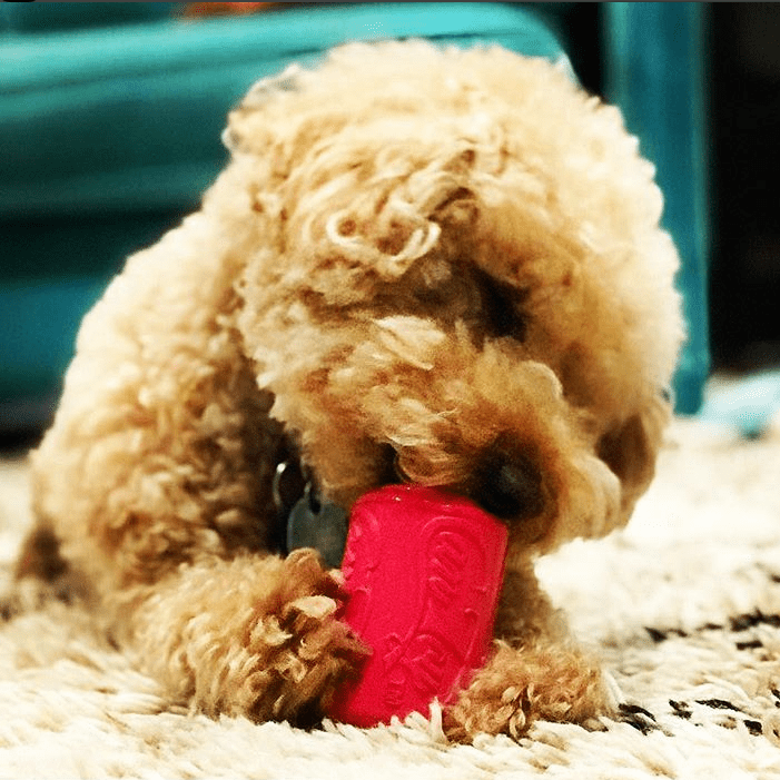 Puppy Can Toy Rubber Chew Toy for Teething Puppies | Treat Dispenser | USA Made - SodaPup/True Dogs, LLC - Flyclothing LLC