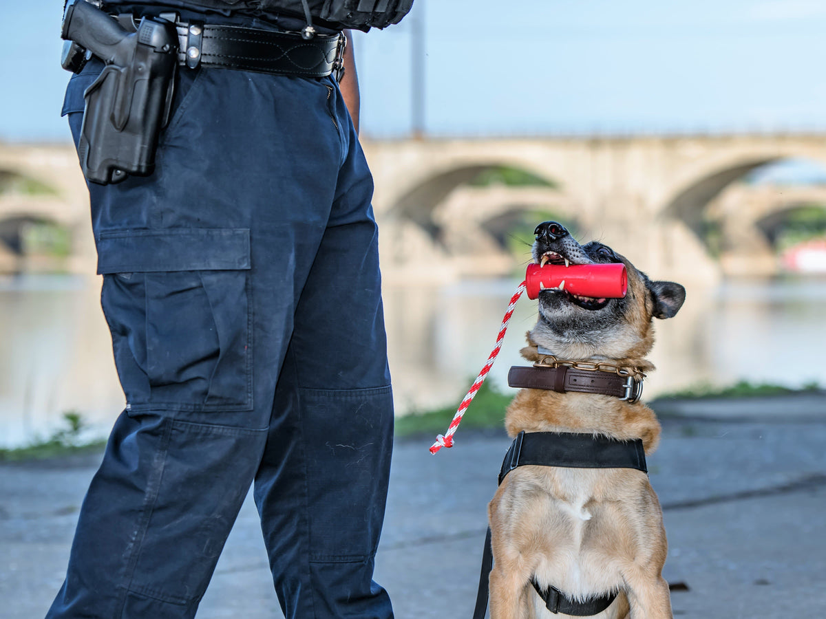 USA-K9 Firecracker Floating Training Dummy | K9 Handler Reward Toy | Red | USA Made - SodaPup/True Dogs, LLC - Flyclothing LLC