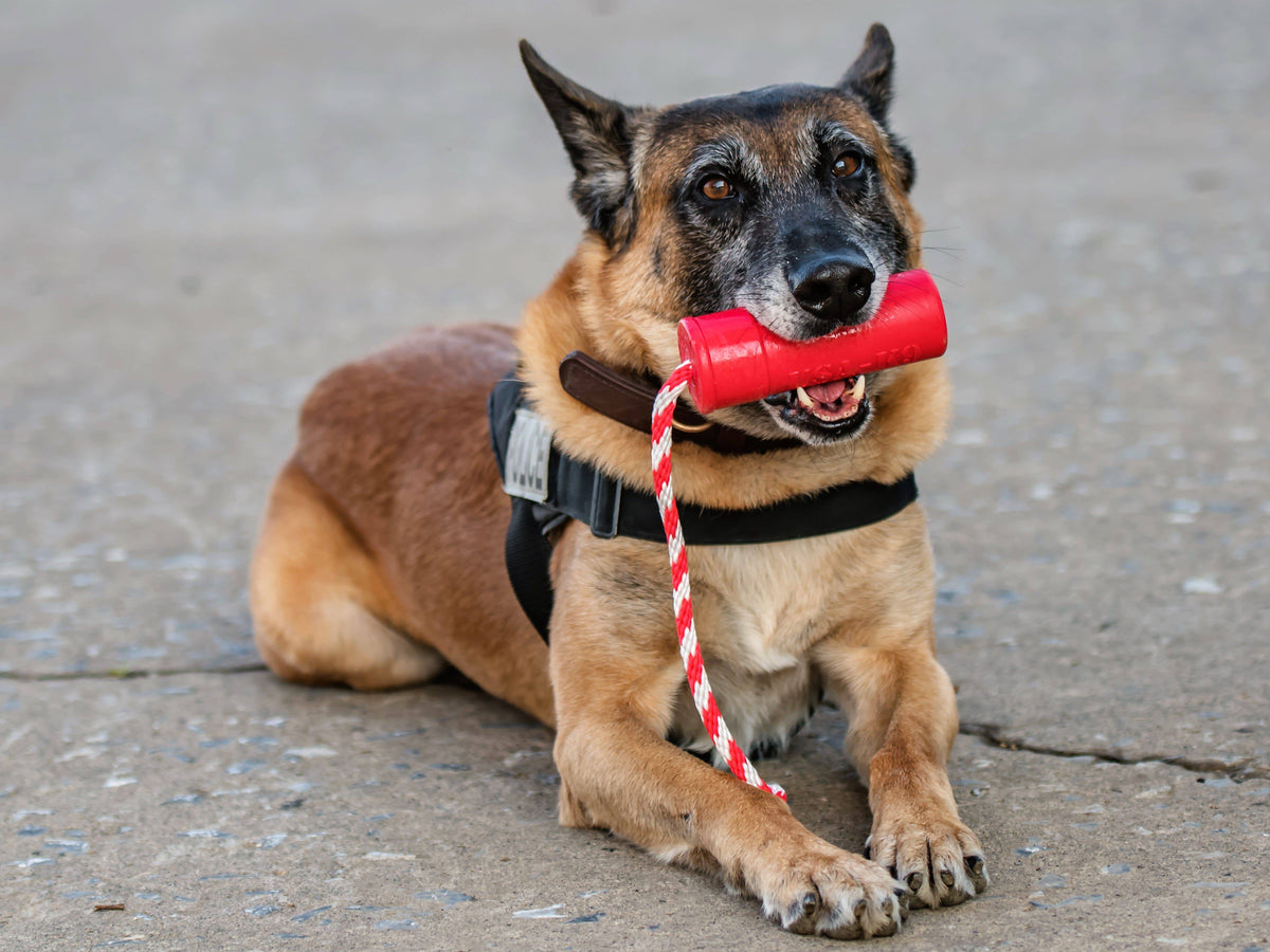 USA-K9 Firecracker Floating Training Dummy | K9 Handler Reward Toy | Red | USA Made - SodaPup/True Dogs, LLC - Flyclothing LLC