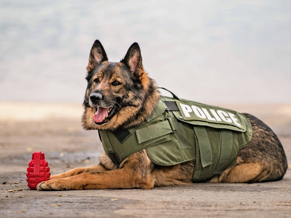 USA-K9 Grenade Rubber Dog Chew Toy | K9 Handler eDispenser Toy | Red & Blue | USA Made - SodaPup/True Dogs, LLC - Flyclothing LLC
