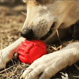 USA-K9 Stars and Stripes Rubber Dog Toy | K9 Handler Reward Toy | Red | USA Made - SodaPup/True Dogs, LLC - Flyclothing LLC