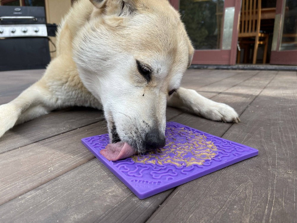 Bones eMat - Enrichment Lick Mat for Dogs and Cats | eMat Enrichment Toy for Anxiety Relief | SodaPup - SodaPup/True Dogs, LLC - Flyclothing LLC