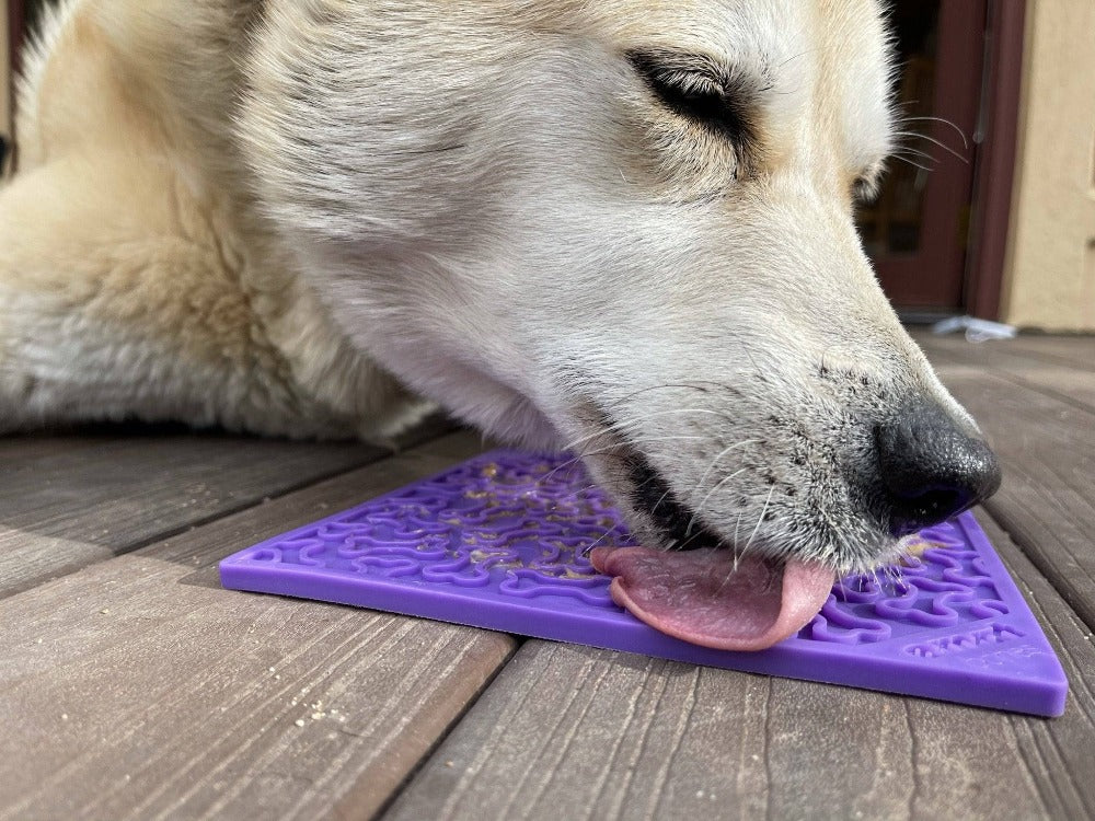 Bones eMat - Enrichment Lick Mat for Dogs and Cats | eMat Enrichment Toy for Anxiety Relief | SodaPup - SodaPup/True Dogs, LLC - Flyclothing LLC