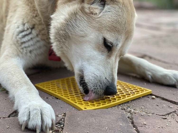 Honeycomb eMat - Enrichment Lick Mat for Dogs and Cats | eMat Enrichment Toy for Anxiety Relief | SodaPup - SodaPup/True Dogs, LLC - Flyclothing LLC