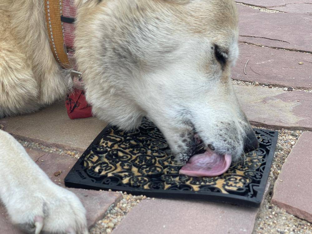 Zombie eMat - Enrichment Lick Mat for Dogs and Cats | Halloween Skull Design | SodaPup - SodaPup/True Dogs, LLC - Flyclothing LLC
