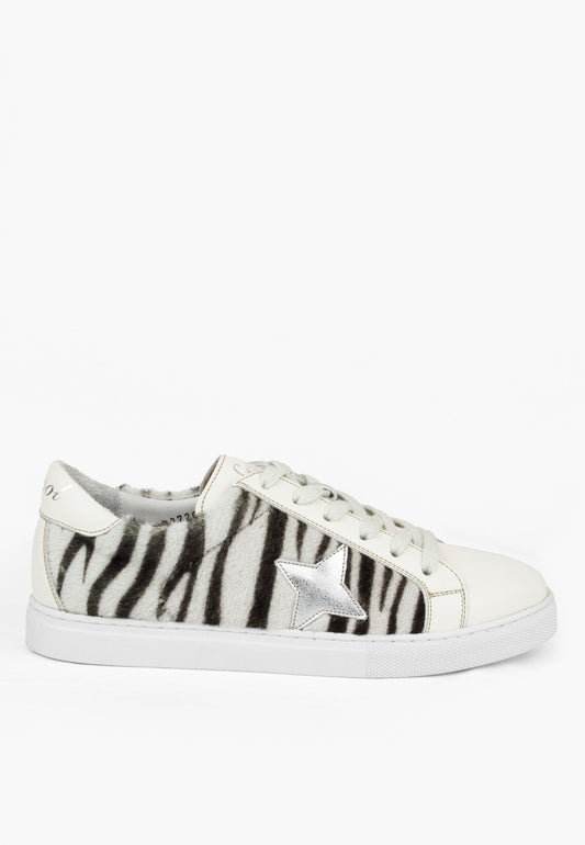 Sepol Women's Star Sneaker Zebra
