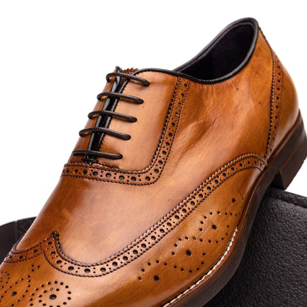 25-562-CML STEPHANO Wingtip Oxford Camel - Zelli Italia - Flyclothing LLC