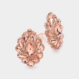 Teardrop Crystal Cluster Clip on Evening Earrings - Madeline Love - Flyclothing LLC