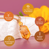 The Prosperity Pendant - Conscious Items