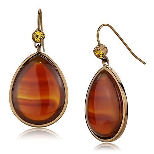 TK2575 - IP Coffee light Stainless Steel Earrings with Semi-Precious Agate in Siam - Alamode