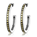 TK2891 - Two-Tone IP Gold (Ion Plating) Stainless Steel Earrings with Epoxy in Jet - Alamode - Flyclothing LLC