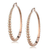 TK3068 - IP Rose Gold(Ion Plating) Stainless Steel Earrings with No Stone - Alamode - Flyclothing LLC