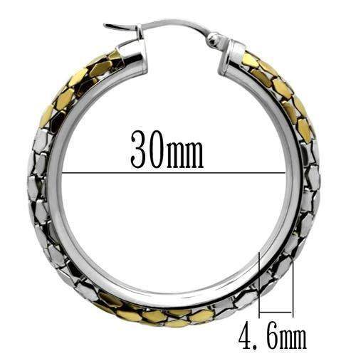 TK430 - Gold+Rhodium Stainless Steel Earrings with No Stone - Alamode - Flyclothing LLC