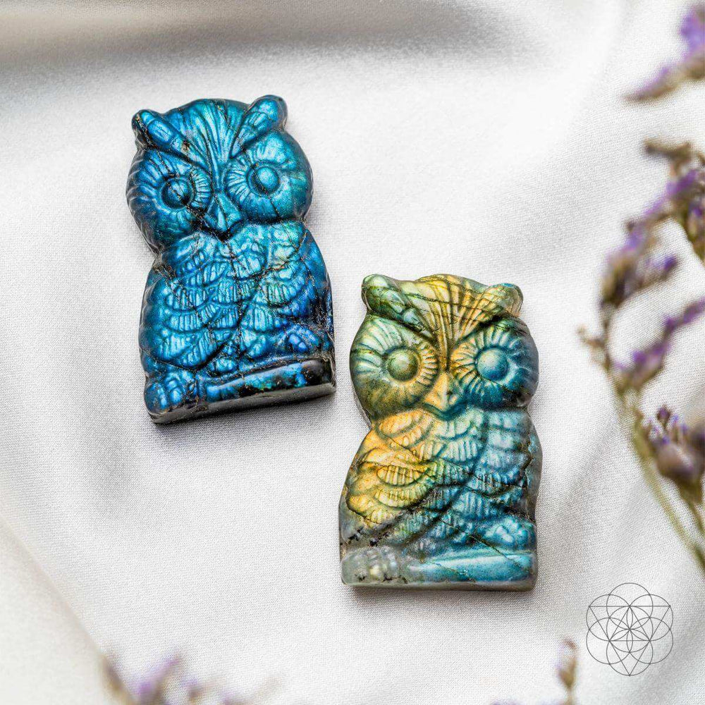 Token of Wisdom - Labradorite Owl Talisman - Conscious Items - Flyclothing LLC
