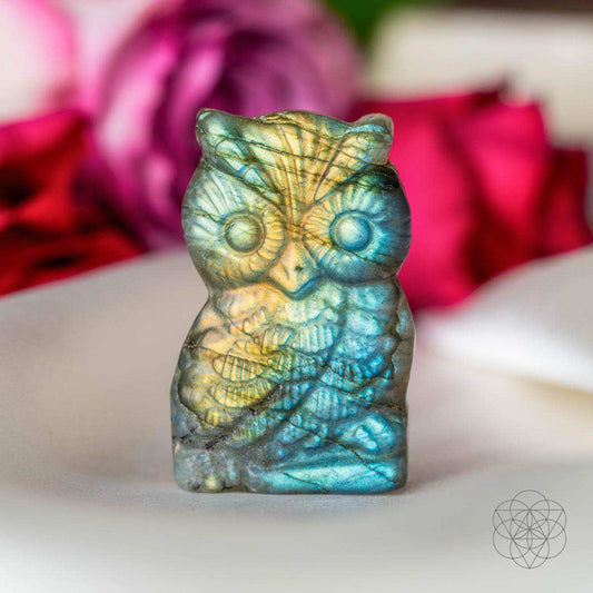 Token of Wisdom - Labradorite Owl Talisman - Conscious Items - Flyclothing LLC