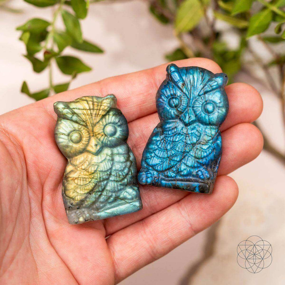 Token of Wisdom - Labradorite Owl Talisman - Conscious Items - Flyclothing LLC