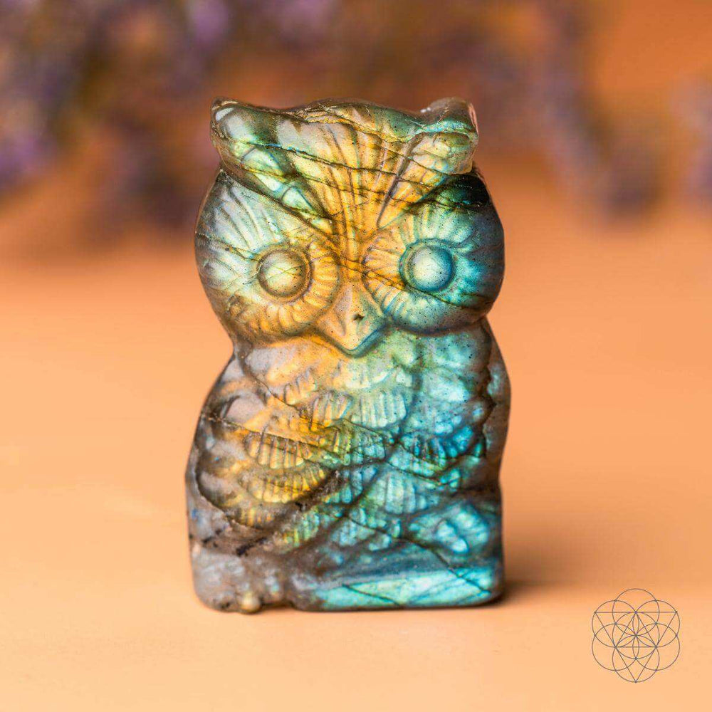 Token of Wisdom - Labradorite Owl Talisman - Conscious Items - Flyclothing LLC